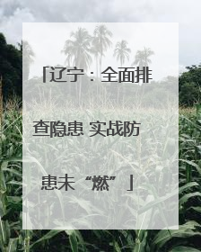 辽宁：全面排查隐患 实战防患未“燃”