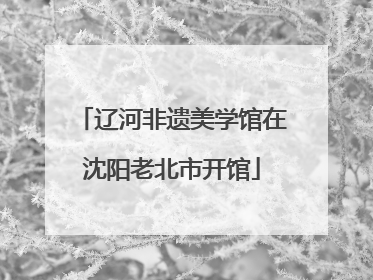 辽河非遗美学馆在沈阳老北市开馆
