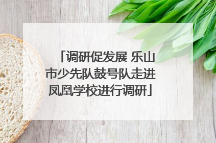 调研促发展 乐山市少先队鼓号队走进凤凰学校进行调研
