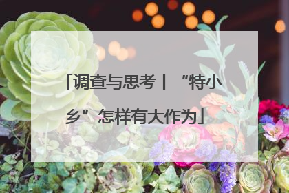 调查与思考丨“特小乡”怎样有大作为