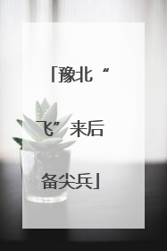 豫北“飞”来后备尖兵