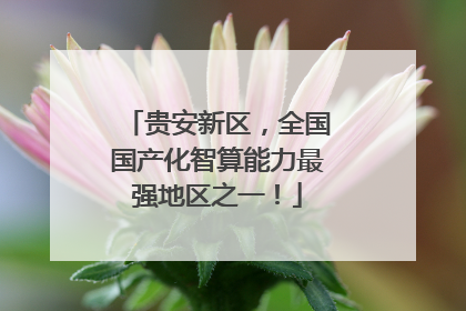 贵安新区，全国国产化智算能力最强地区之一！