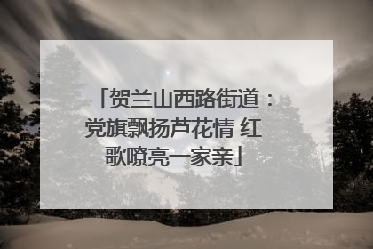 贺兰山西路街道：党旗飘扬芦花情 红歌嘹亮一家亲