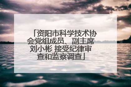 资阳市科学技术协会党组成员、副主席刘小彬 接受纪律审查和监察调查