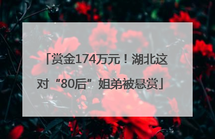 赏金174万元！湖北这对“80后”姐弟被悬赏