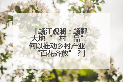 赣江观澜：赣鄱大地“一村一品”何以推动乡村产业“百花齐放”？