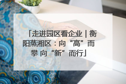 走进园区看企业｜衡阳蒸湘区：向“高”而攀 向“新”而行