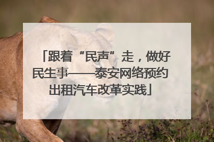 跟着“民声”走，做好民生事——泰安网络预约出租汽车改革实践