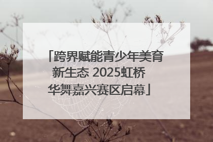 跨界赋能青少年美育新生态 2025虹桥华舞嘉兴赛区启幕