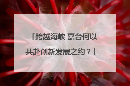 跨越海峡 嘉台何以共赴创新发展之约？