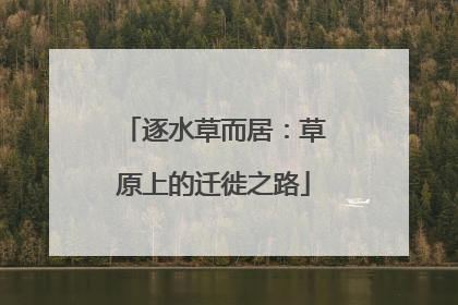 逐水草而居：草原上的迁徙之路