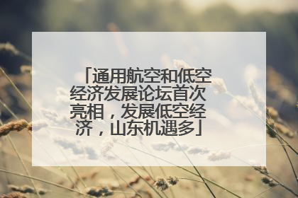 通用航空和低空经济发展论坛首次亮相，发展低空经济，山东机遇多