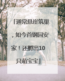 通常悬崖筑巢，如今首钢园安家！还孵出10只萌宝宝