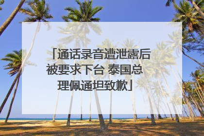 通话录音遭泄露后被要求下台 泰国总理佩通坦致歉