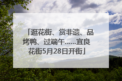 逛花街、赏非遗、品烤鸭、过端午……宜良花街5月28日开街