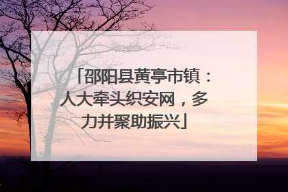 邵阳县黄亭市镇：人大牵头织安网，多力并聚助振兴