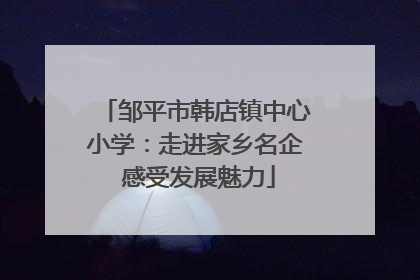 邹平市韩店镇中心小学：走进家乡名企 感受发展魅力