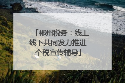 郴州税务：线上线下共同发力推进个税宣传辅导