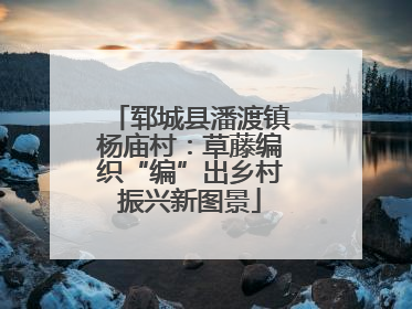 郓城县潘渡镇杨庙村：草藤编织“编”出乡村振兴新图景
