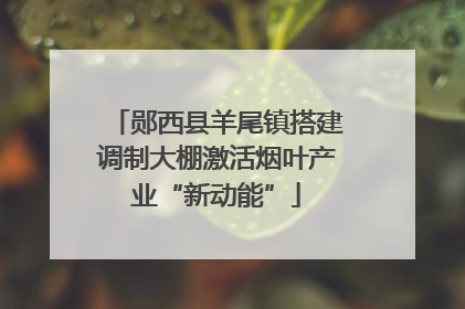 郧西县羊尾镇搭建调制大棚激活烟叶产业“新动能”
