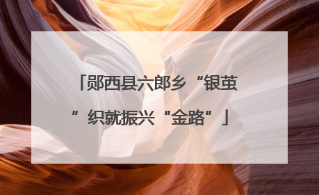 郧西县六郎乡“银茧”织就振兴“金路”