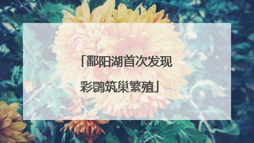 鄱阳湖首次发现彩鹮筑巢繁殖
