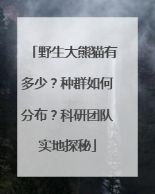 野生大熊猫有多少？种群如何分布？科研团队实地探秘