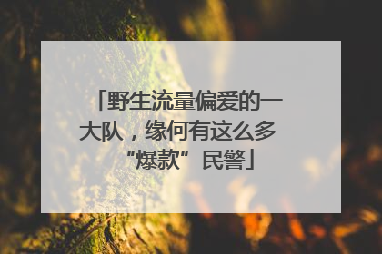 野生流量偏爱的一大队，缘何有这么多“爆款”民警