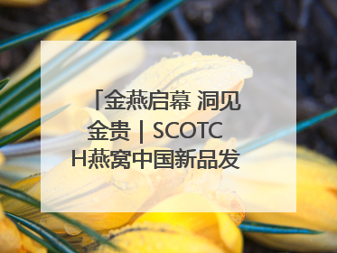金燕启幕 洞见金贵｜SCOTCH燕窝中国新品发布会举行
