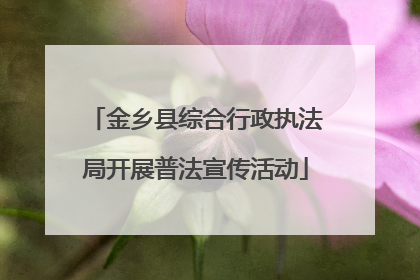 金乡县综合行政执法局开展普法宣传活动