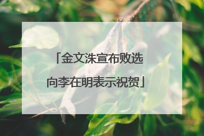 金文洙宣布败选 向李在明表示祝贺