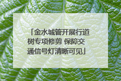 金水城管开展行道树专项修剪 保障交通信号灯清晰可见