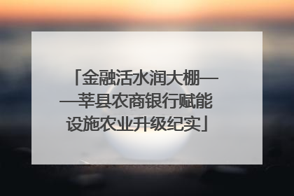 金融活水润大棚——莘县农商银行赋能设施农业升级纪实