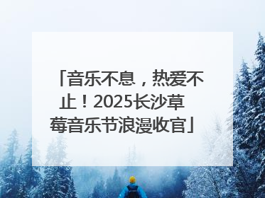 音乐不息，热爱不止！2025长沙草莓音乐节浪漫收官