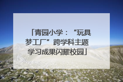 青园小学：“玩具梦工厂”跨学科主题学习成果闪耀校园