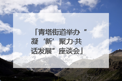青塔街道举办“凝‘新’聚力·共话发展”座谈会