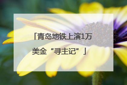 青岛地铁上演1万美金“寻主记”