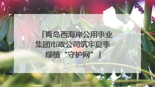 青岛西海岸公用事业集团市政公司筑牢夏季绿植“守护网”