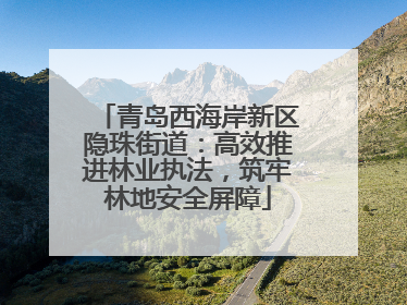 青岛西海岸新区隐珠街道：高效推进林业执法，筑牢林地安全屏障