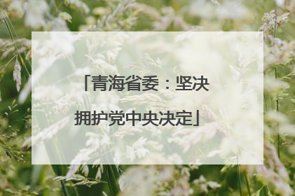青海省委：坚决拥护党中央决定