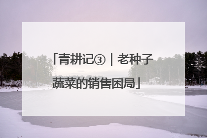 青耕记③｜老种子蔬菜的销售困局