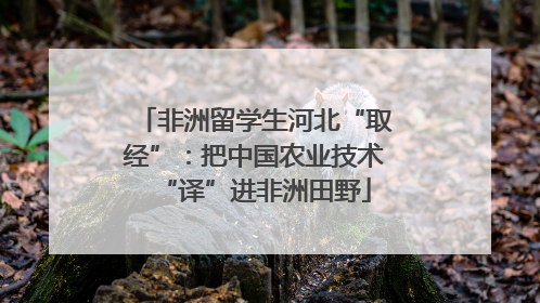 非洲留学生河北“取经”：把中国农业技术“译”进非洲田野