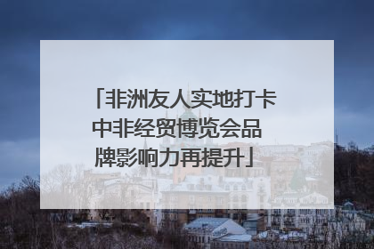 非洲友人实地打卡 中非经贸博览会品牌影响力再提升