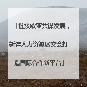 链接欧亚共谋发展，新疆人力资源展交会打造国际合作新平台