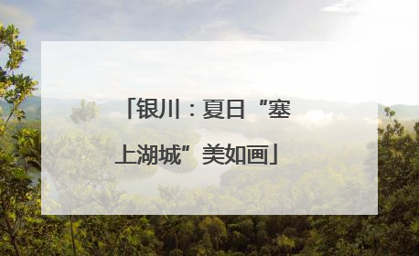银川：夏日“塞上湖城”美如画