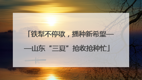 铁犁不停歇，播种新希望——山东“三夏”抢收抢种忙