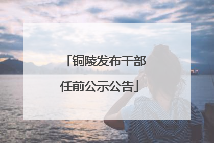 铜陵发布干部任前公示公告