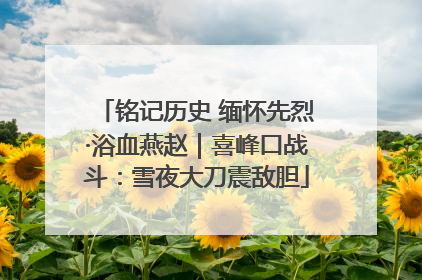 铭记历史 缅怀先烈·浴血燕赵｜喜峰口战斗：雪夜大刀震敌胆
