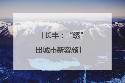 长丰：“绣”出城市新容颜