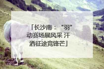 长沙南：“羽”动赛场展风采 汗洒征途竞锋芒